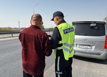 Шымкентте полицейлер «Alphard» пен «Starex» көліктерін жаппай тексеріп жатыр 