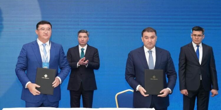 Түркістан облысында 111,1 млн долларлық ірі ет кластері құрылады